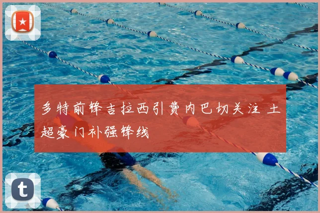 多特前锋吉拉西引费内巴切关注 土超豪门补强锋线